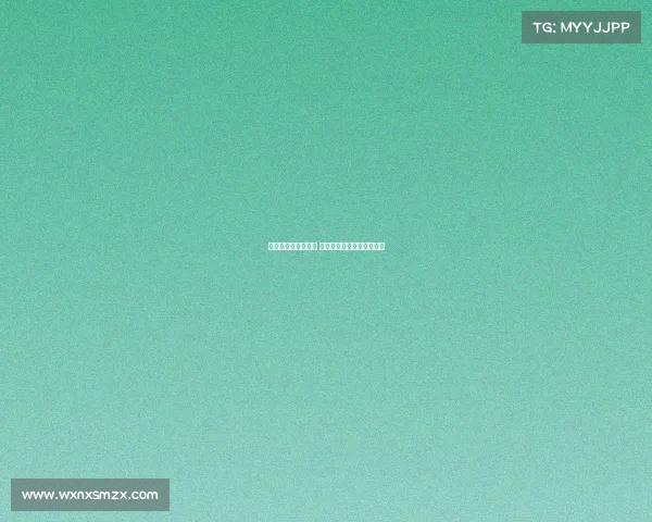 不来梅重塑辉煌之路 德甲新势力崛起的背后故事